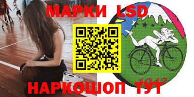 мдпв Кингисепп