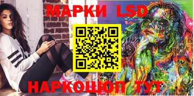 мдпв Кингисепп