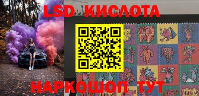 мдпв Кингисепп