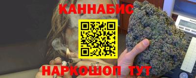 мдпв Кингисепп