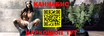 мдпв Кингисепп